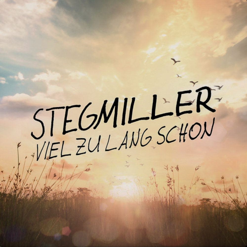 Stegmiller - viel zu lang